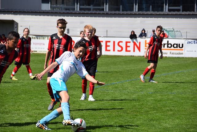 的忠实粉丝 的忠实粉丝