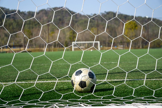 这笔交易虽 这笔交易虽