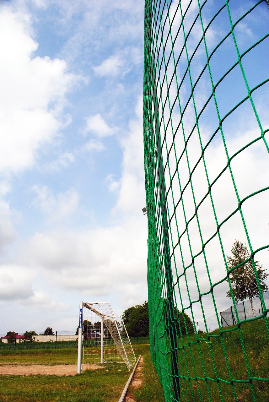 团队运营初 团队运营初