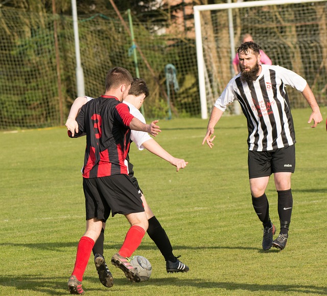 挥重要作用 挥重要作用