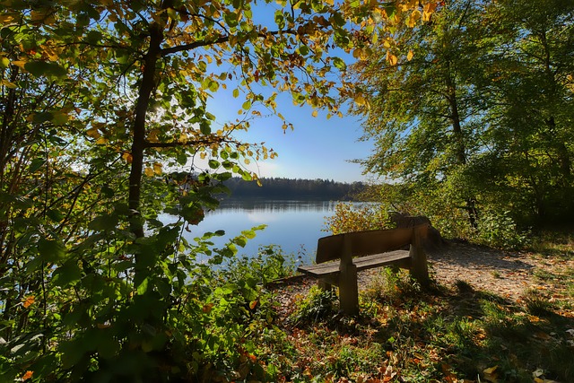 他独特的 他独特的