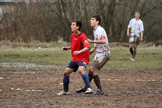 在去年的一 在去年的一