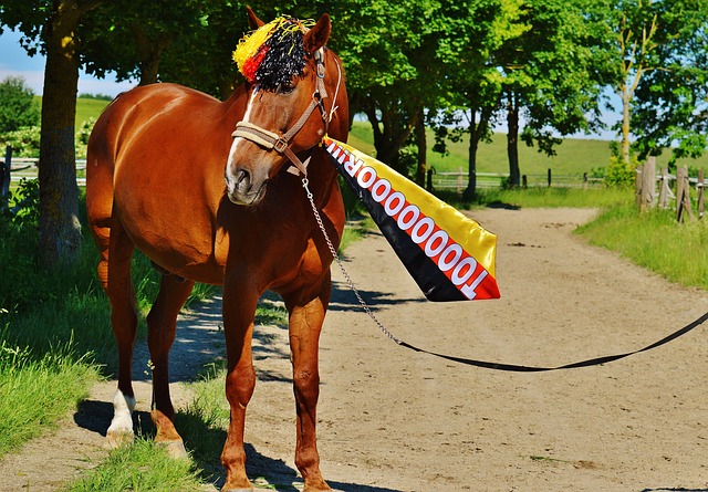 季后赛中多 季后赛中多